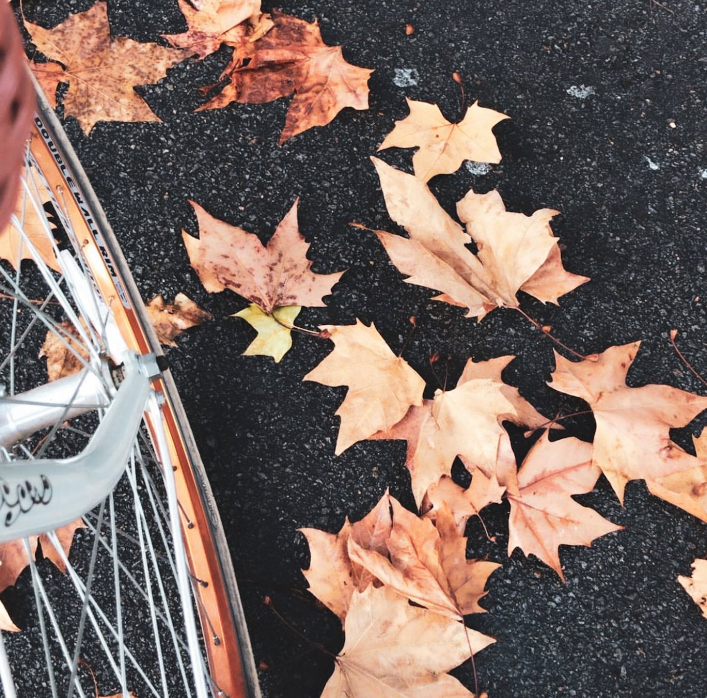 Otoño mood