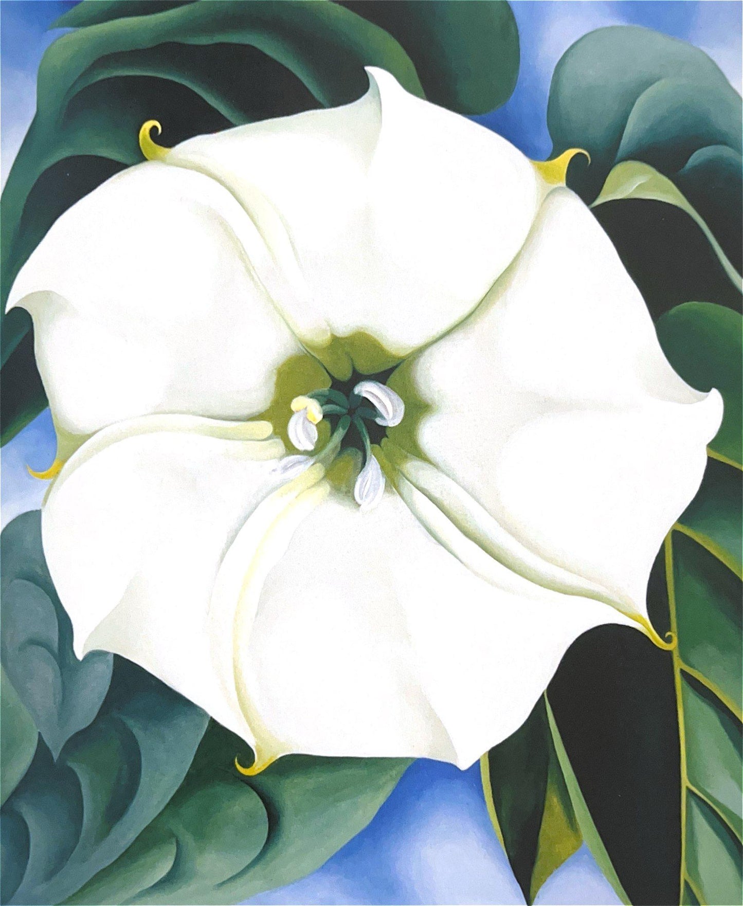 White Flower