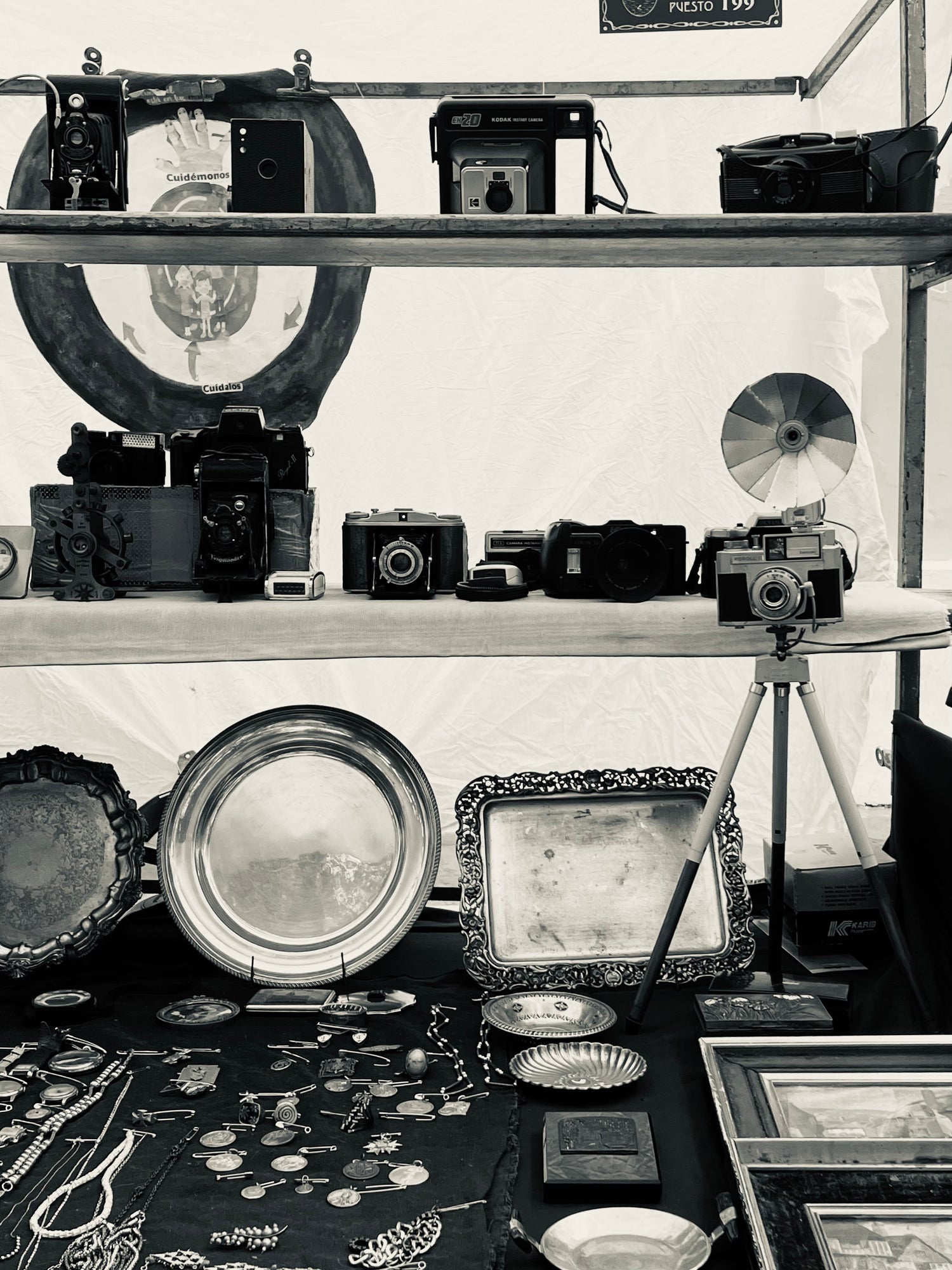 fotografía de autor