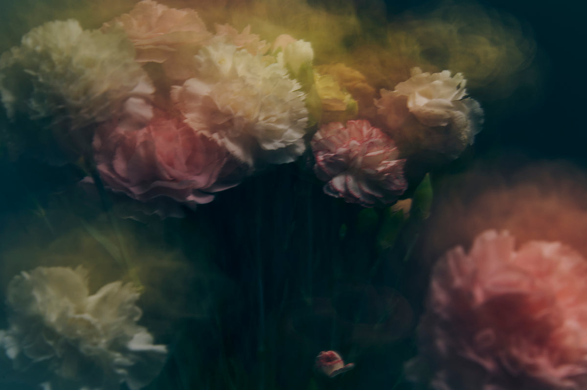Flores 2