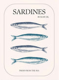 Sardines