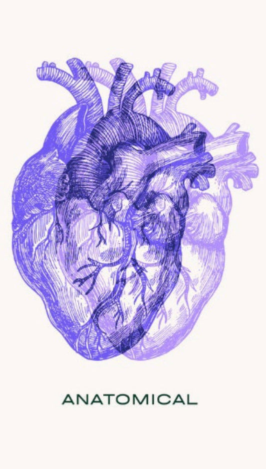Anatomical