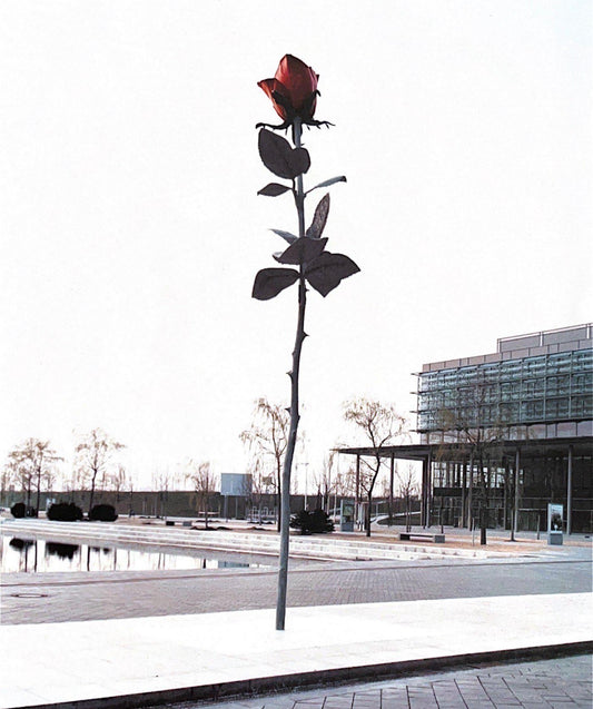 Urban Rose