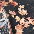 Otoño mood