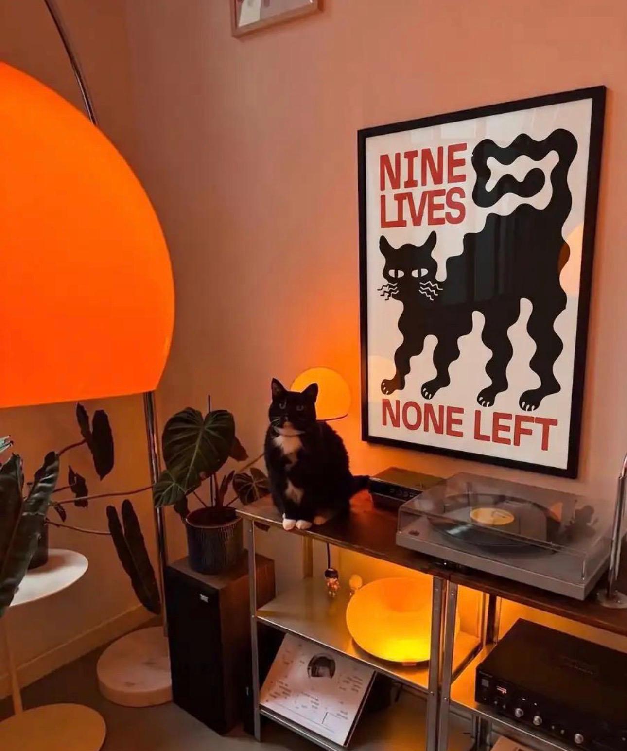 Nine Lives