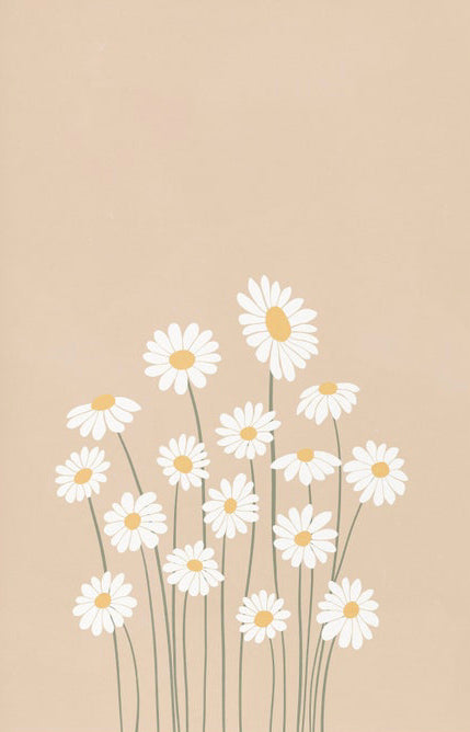Several White Flowers